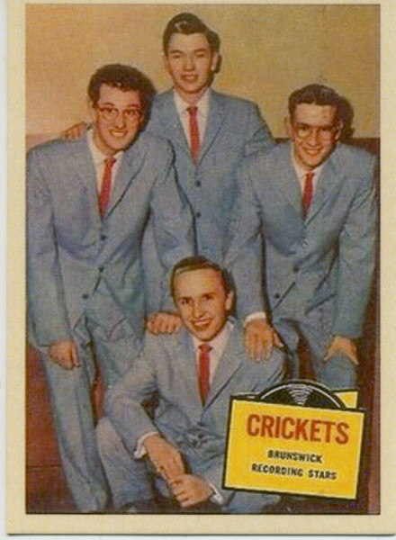 The Alternative Chirping Crickets (LP, 10inch, Cover#1, Ltd.)
