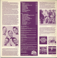 Vorschau: Please, Mr. Johnson (LP) Vorschau: Please, Mr. Johnson (LP)