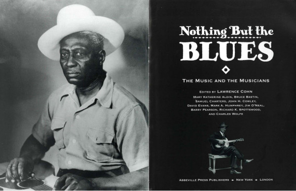 Nothing But The Blues - The Music And The Musicans