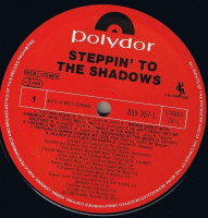Vorschau: Steppin' To The Shadows (LP) Vorschau: Steppin' To The Shadows (LP)