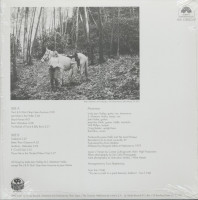 Vorschau: The Local Honeys (LP) Vorschau: The Local Honeys (LP)