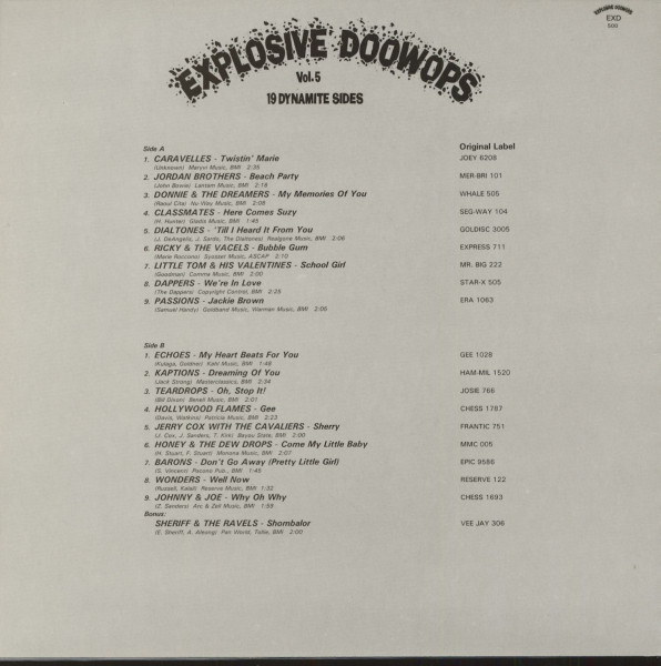 Explosive DooWops Vol.5 (LP)