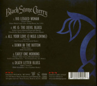 Vorschau: Black To Blues Vol.2 (CD) Vorschau: Black To Blues Vol.2 (CD)