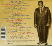 Vorschau: Greatest Hits - Walking To New Orleans (CD) Vorschau: Greatest Hits - Walking To New Orleans (CD)