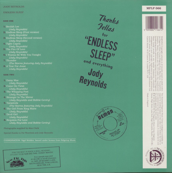 Endless Sleep (LP)