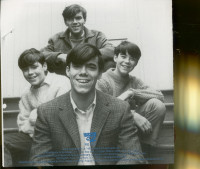 Vorschau: The Cowsills (CD) Vorschau: The Cowsills (CD)