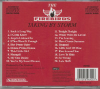 Vorschau: Taking By Storm (CD) Vorschau: Taking By Storm (CD)