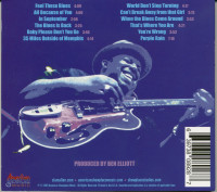Vorschau: Feel These Blues Vorschau: Feel These Blues