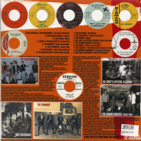 Vorschau: Teenage Shutdown Vol.10 - The World Ain't Round, It's Square! (LP) Vorschau: Teenage Shutdown Vol.10 - The World Ain't Round, It's Square! (LP)